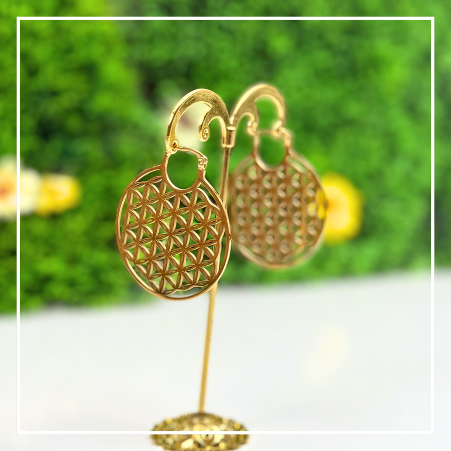 Boucles d'oreilles en Acier inoxydable