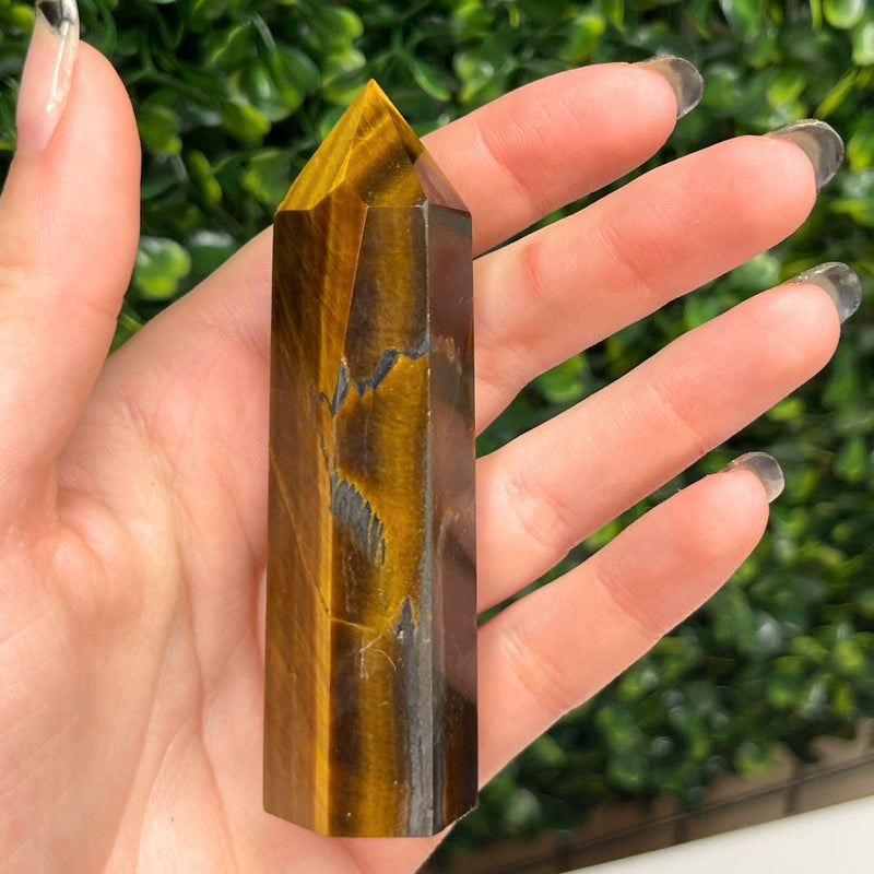 Pointes en Œil de tigre