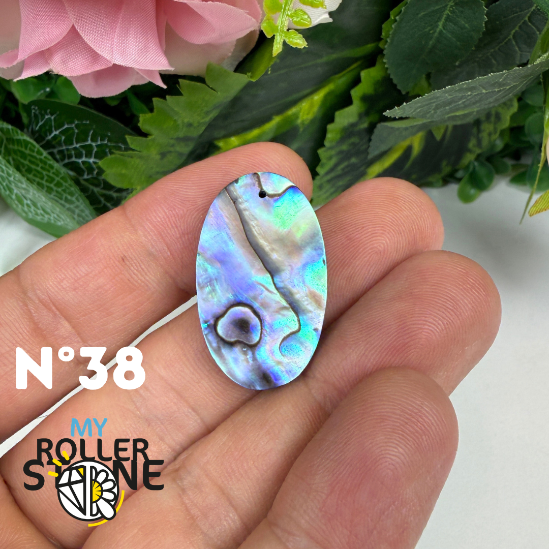 Pendentif en Abalone Forme Libre 5A