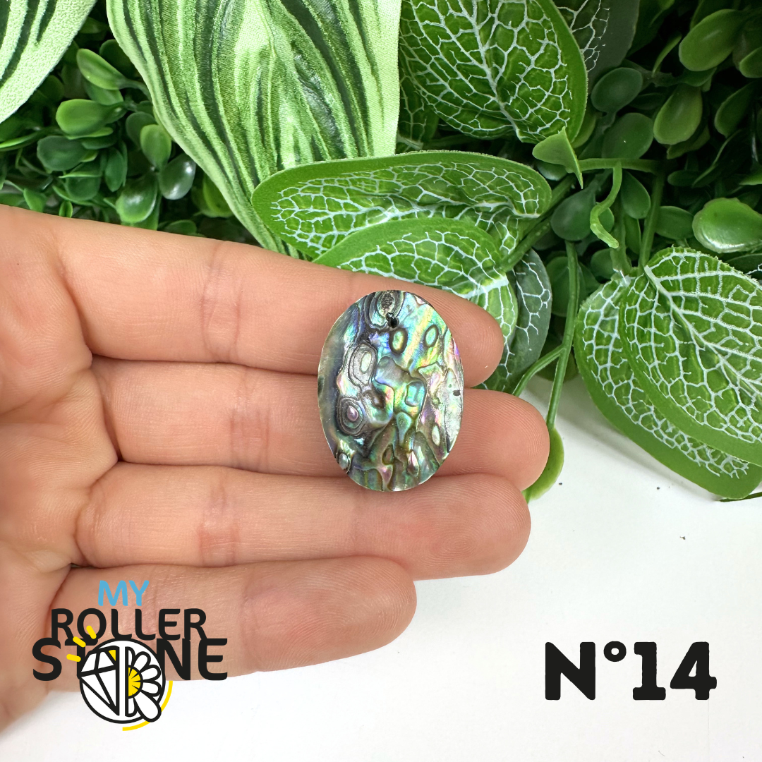 Pendentif en Abalone Forme Libre 5A