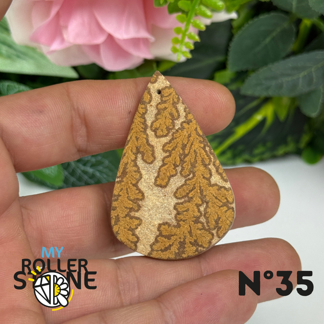 Pendentif Fossile Dendritique 5A Percé