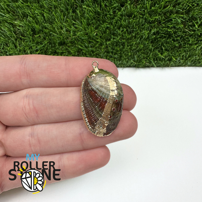 Pendentif Coquillage Abalone Galvanisé