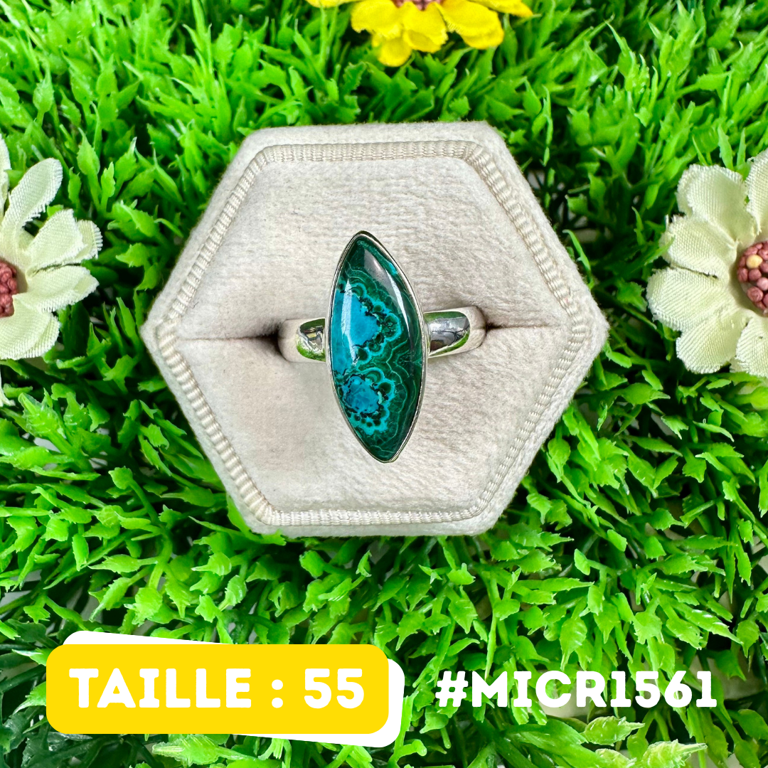 Bague Malachite Chrysocolle Argent 925 #MICR1561