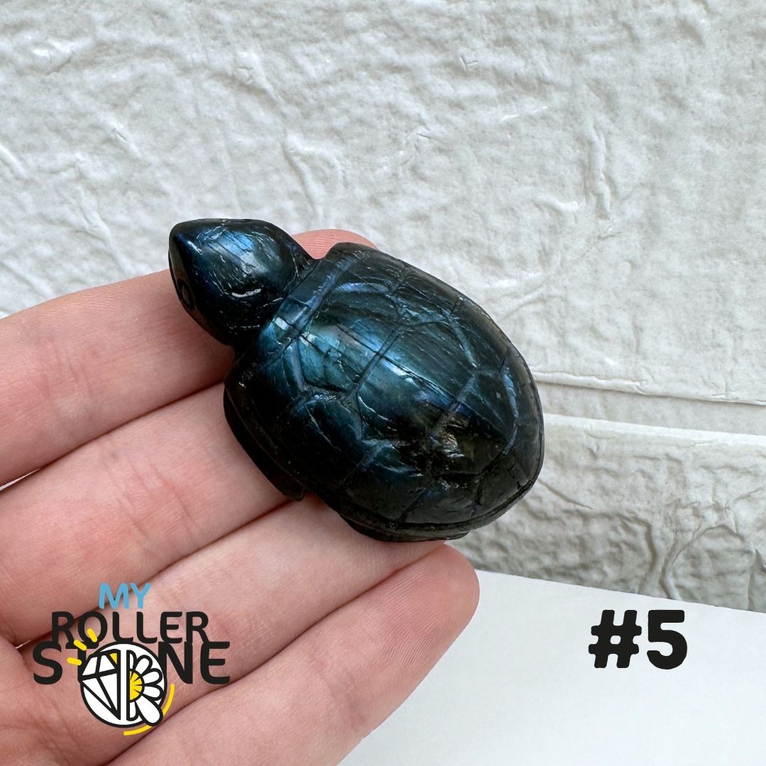 Tortue en Labradorite 5