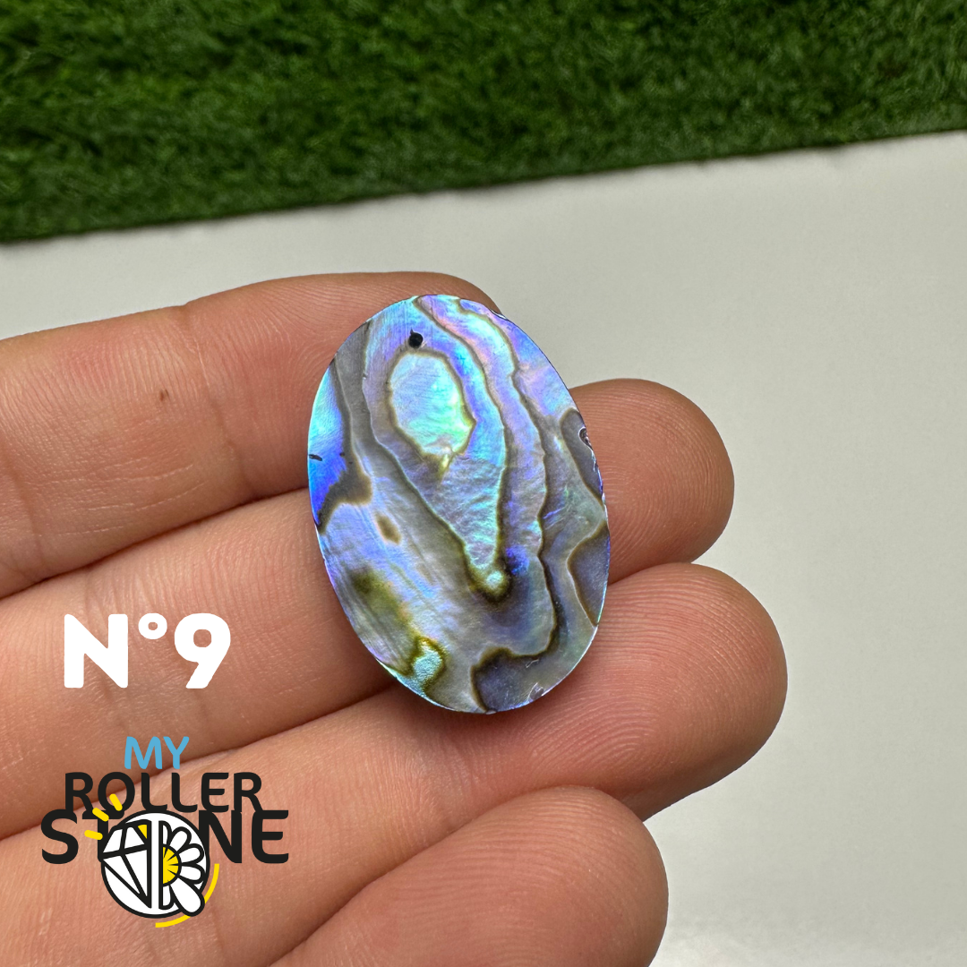 Pendentifs en Abalone Forme Libre 5A