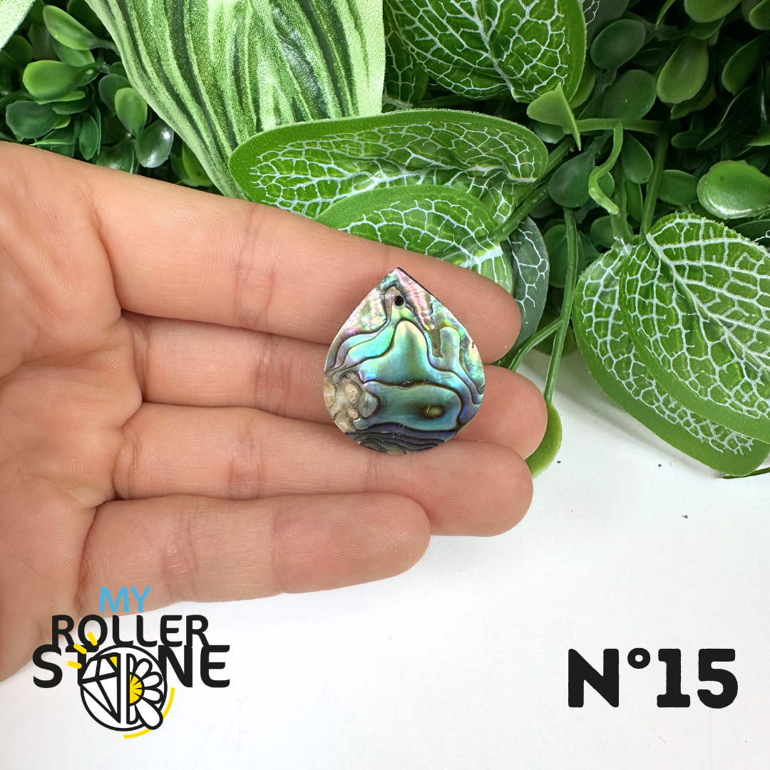 Pendentif en Abalone Forme Libre 5A