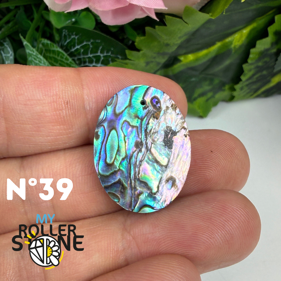 Pendentif en Abalone Forme Libre 5A