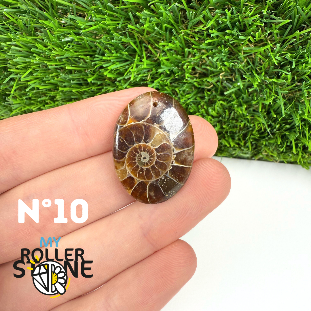 Pendentif Ammonite 5A Percé