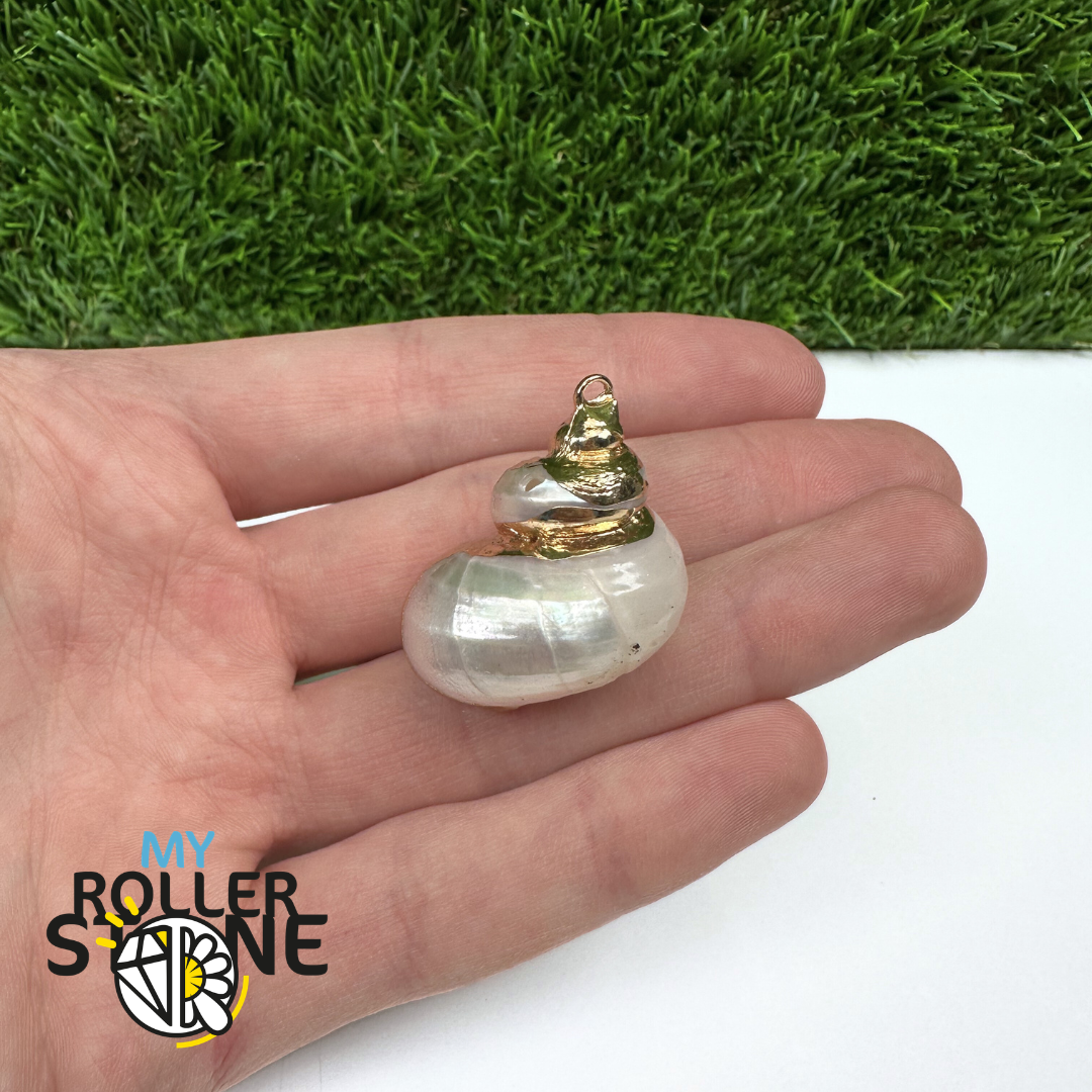Pendentif Coquillage Turbo Galvanisé