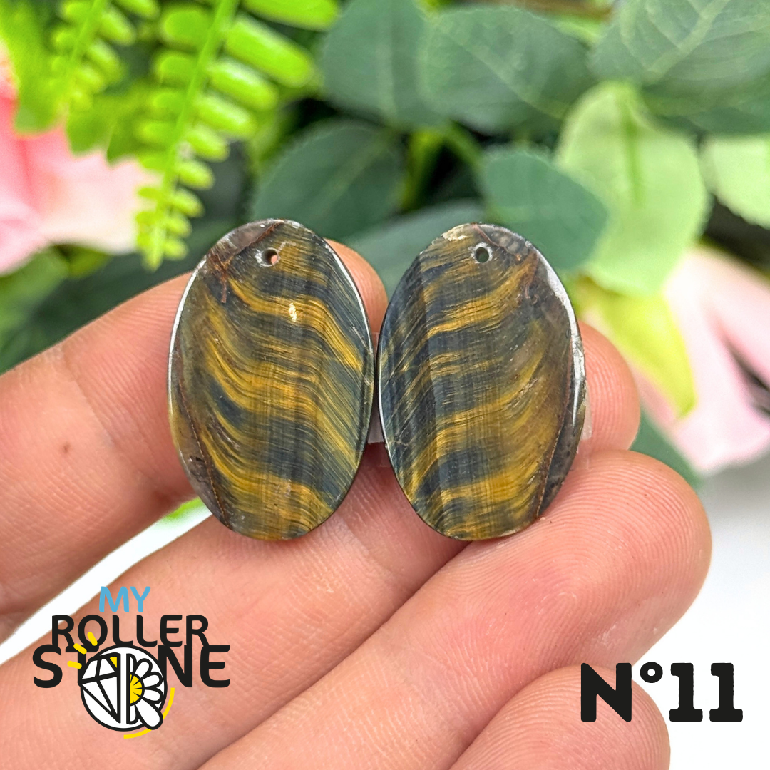 Paire de Cabochon percé en Oeil de Faucon pour Boucles d'oreilles