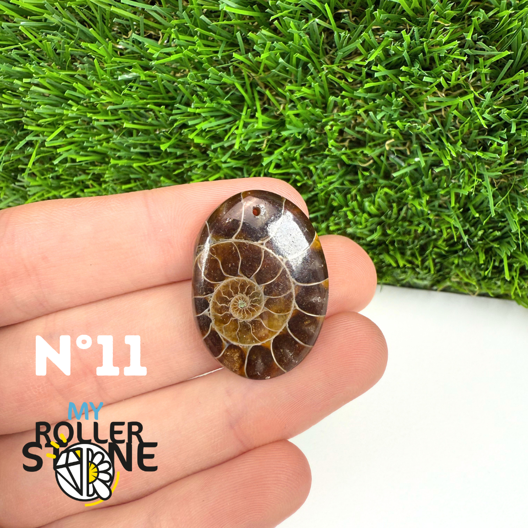 Pendentif Ammonite 5A Percé