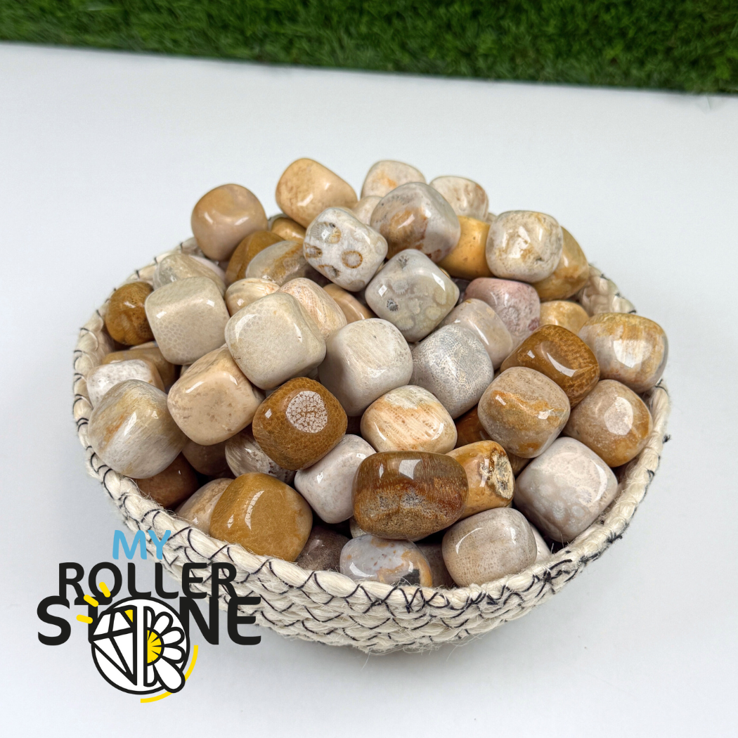 Pierre roulée Chrysanthème