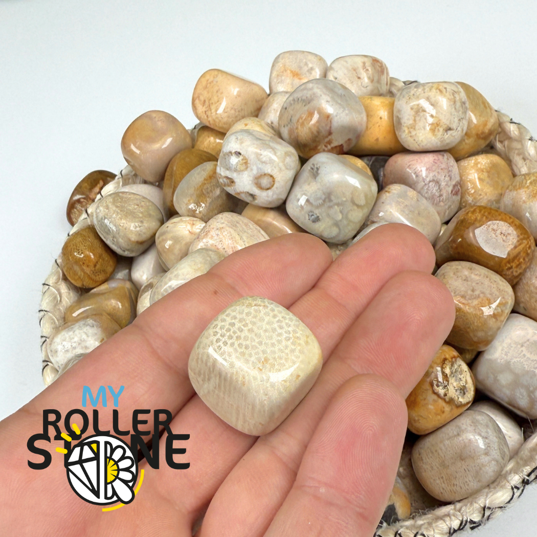 Pierre roulée Chrysanthème