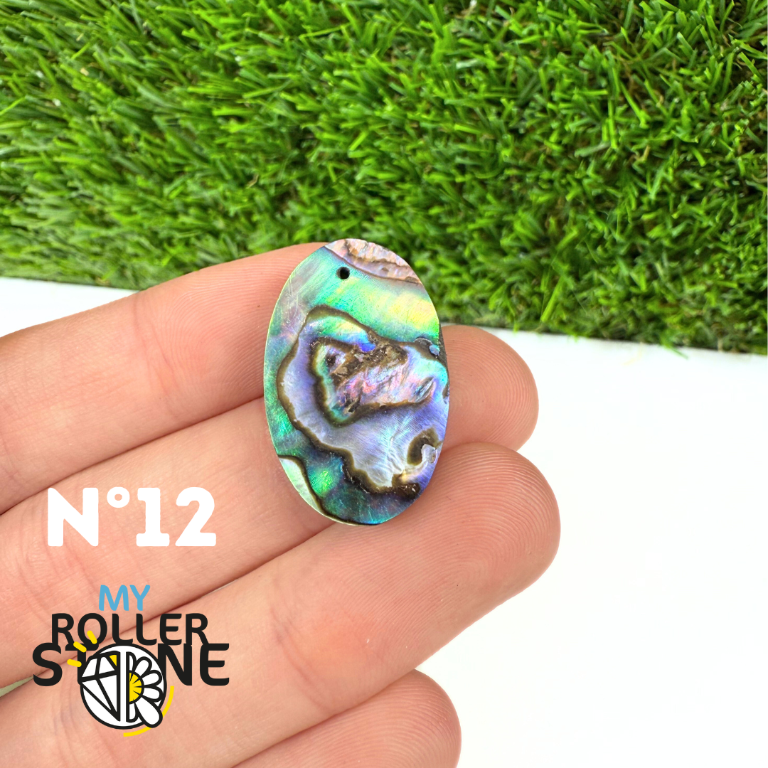 Pendentif en Abalone Forme Libre 5A