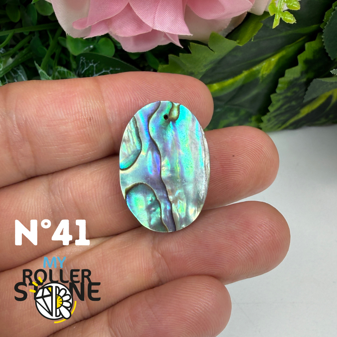 Pendentif en Abalone Forme Libre 5A