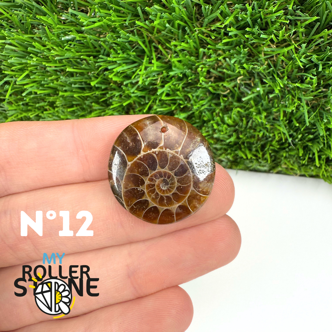 Pendentif Ammonite 5A Percé