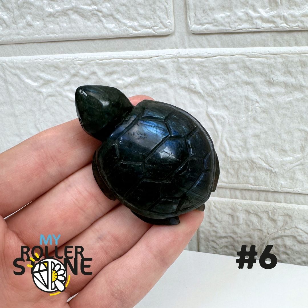 Tortue en Labradorite 6