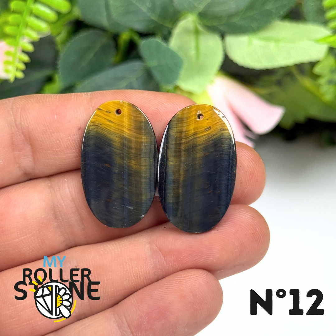 Paire de Cabochon percé en Oeil de Faucon pour Boucles d'oreilles