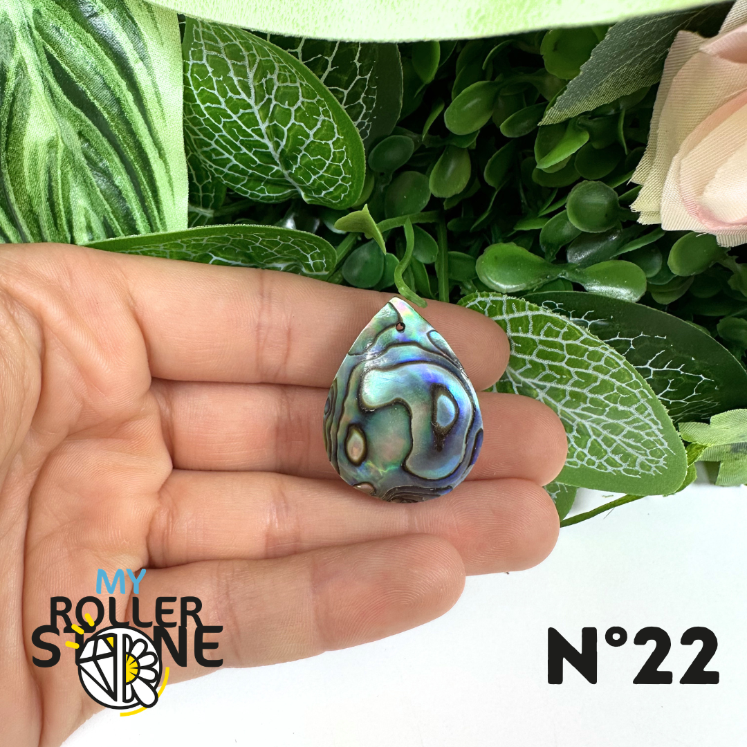 Pendentif en Abalone Forme Libre 5A