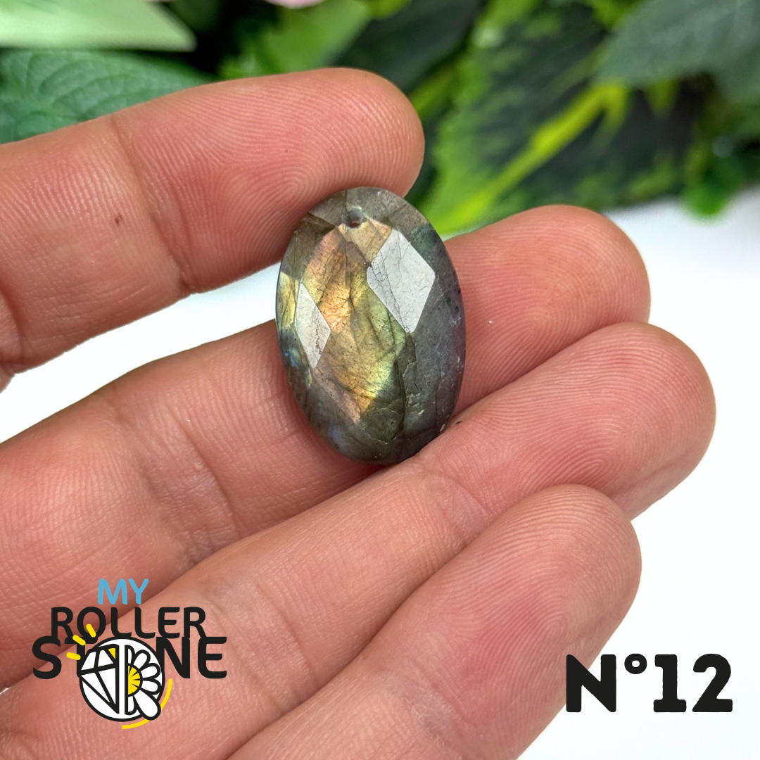 Pendentifs Labradorite Facettée Multi fire 5A