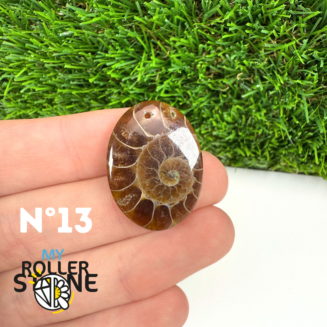 Pendentif Ammonite 5A Percé