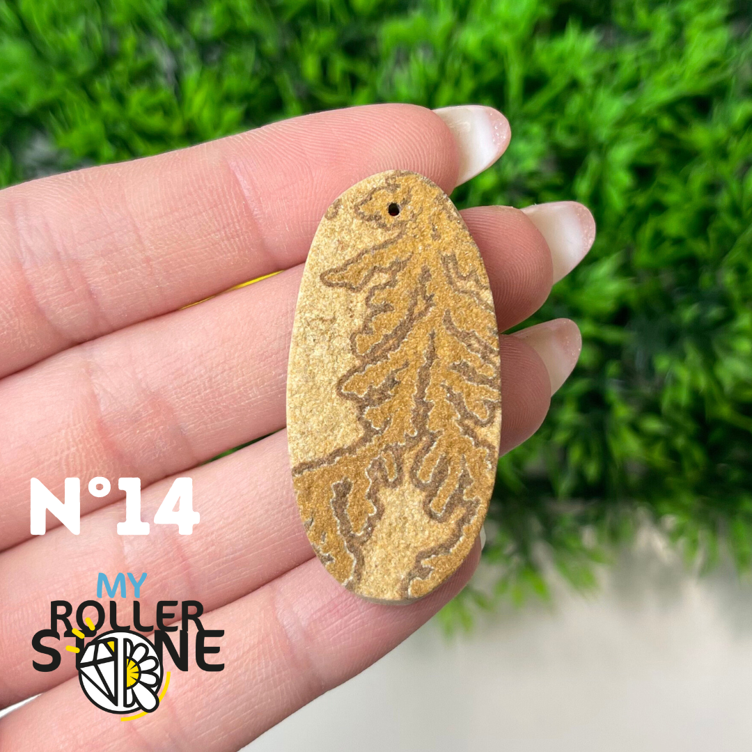 Pendentif Fossil dentritique 5A percé