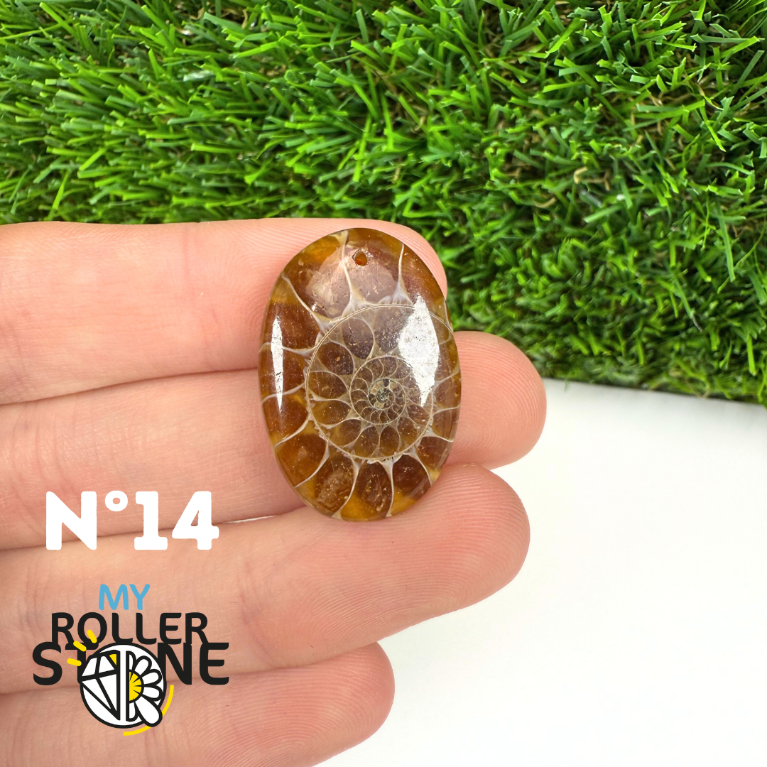 Pendentif Ammonite 5A Percé