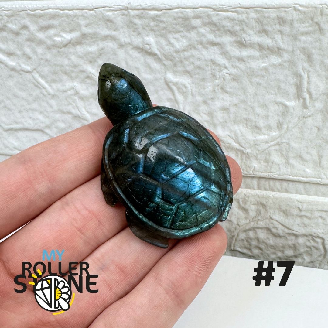 Tortue en Labradorite 7