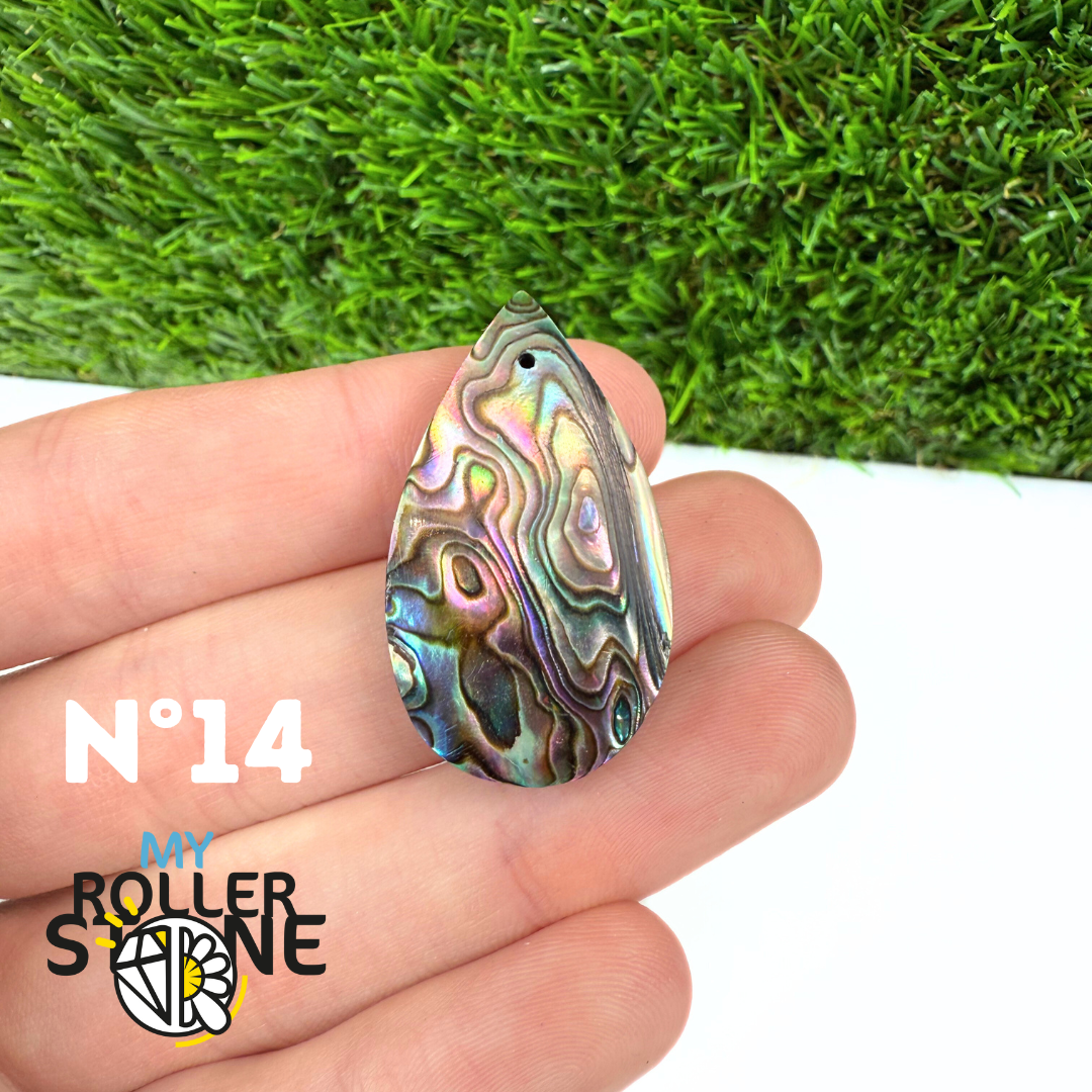 Pendentif en Abalone Forme Libre 5A