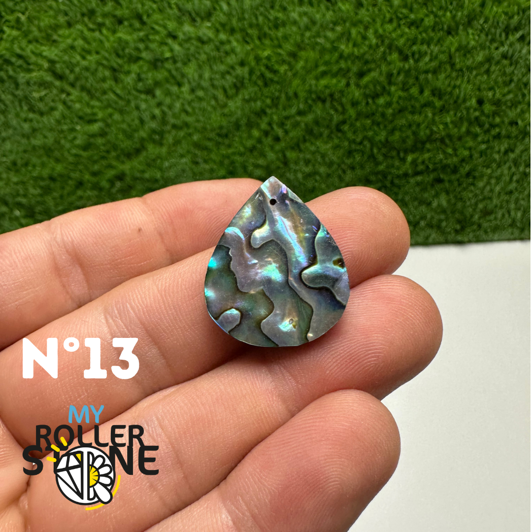 Pendentifs en Abalone Forme Libre 5A