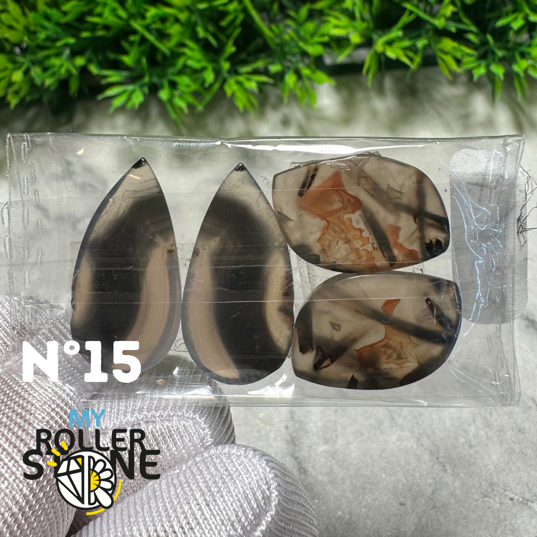 Paire de cabochons Agate Montana forme libre