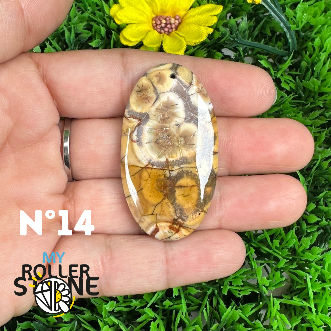 Pendentif Percé en Jaspe Œil d’Oiseau 5A