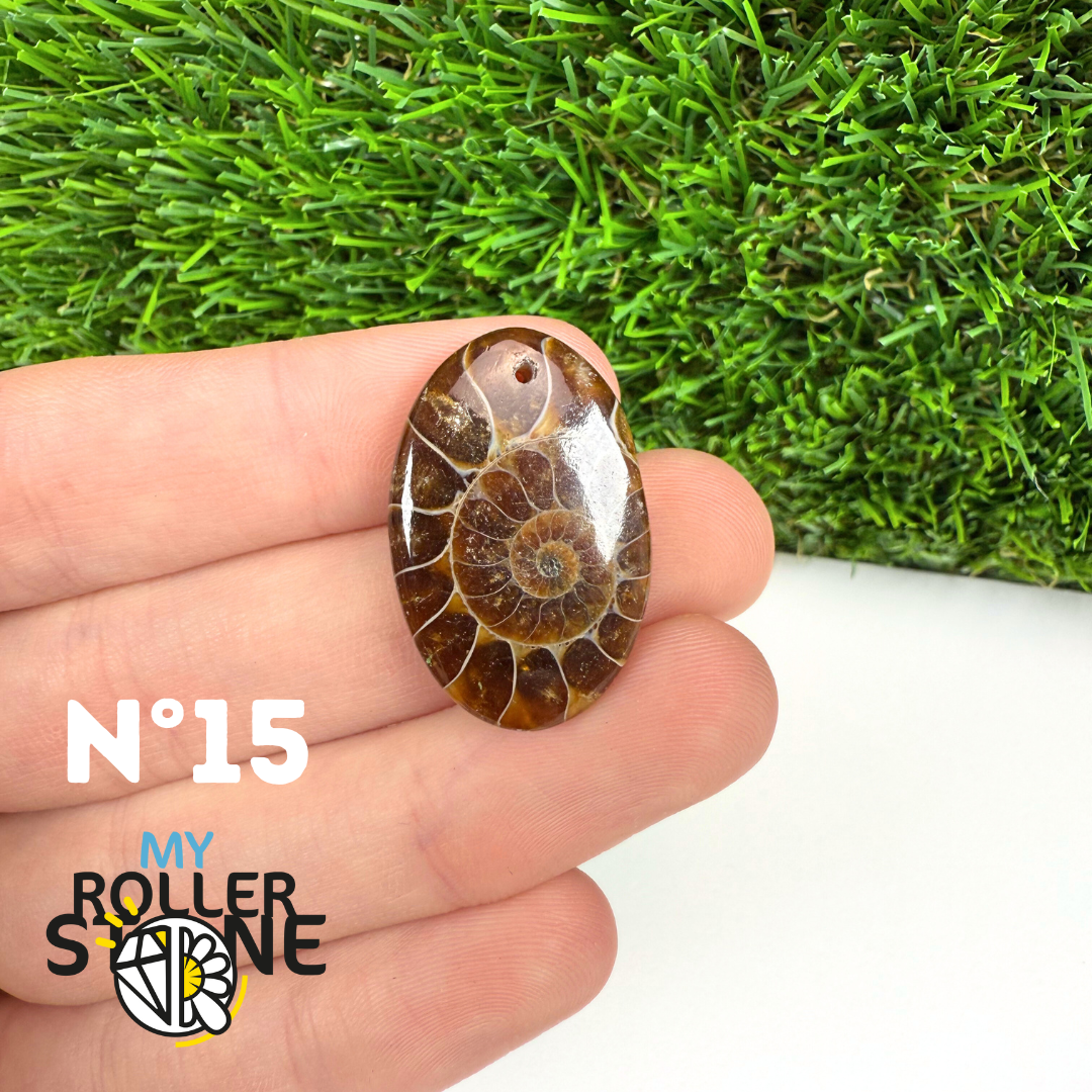 Pendentif Ammonite 5A Percé