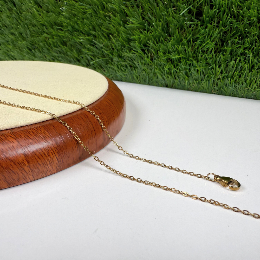 Chaine Acier Inoxydable ( 3 couleurs )