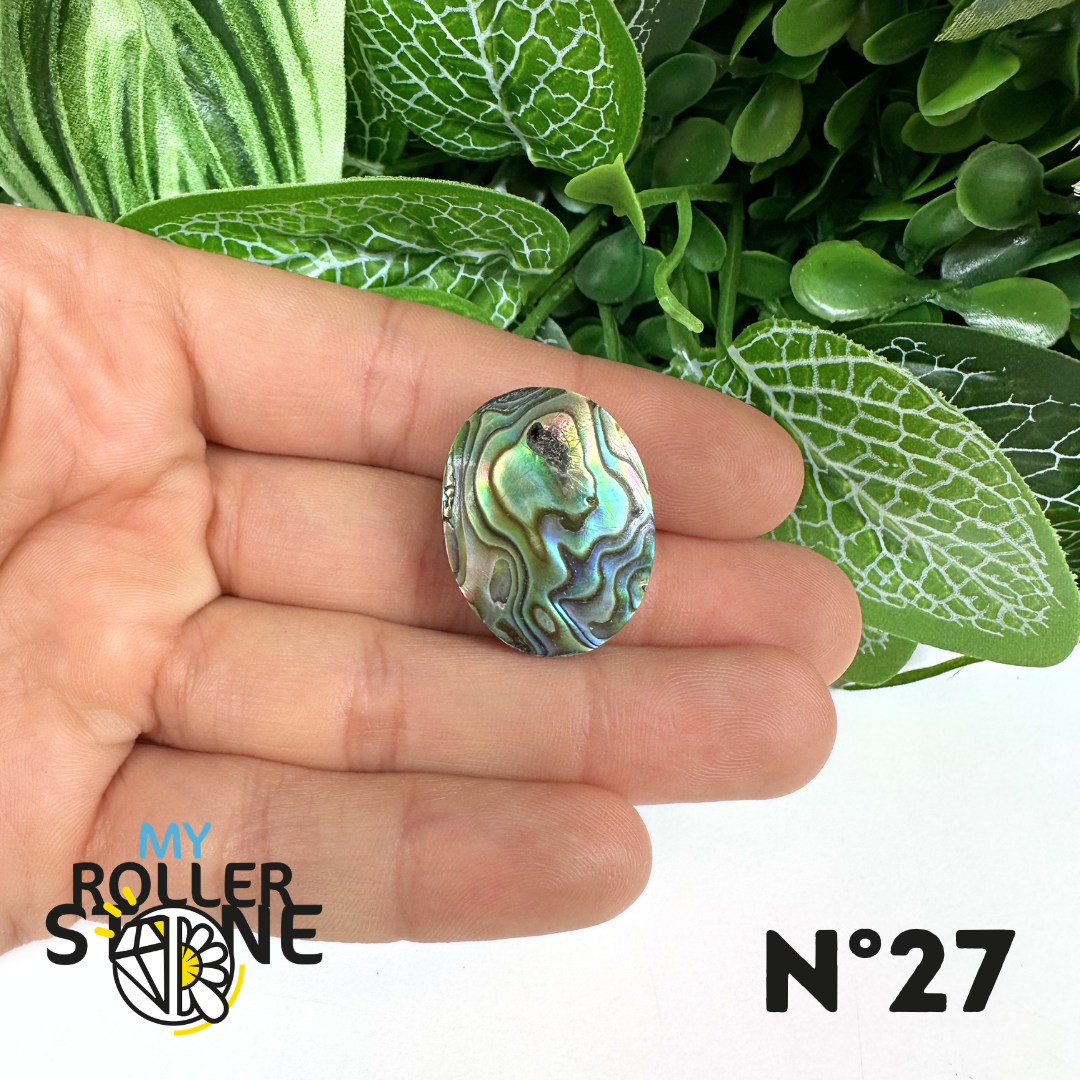Pendentif en Abalone Forme Libre 5A