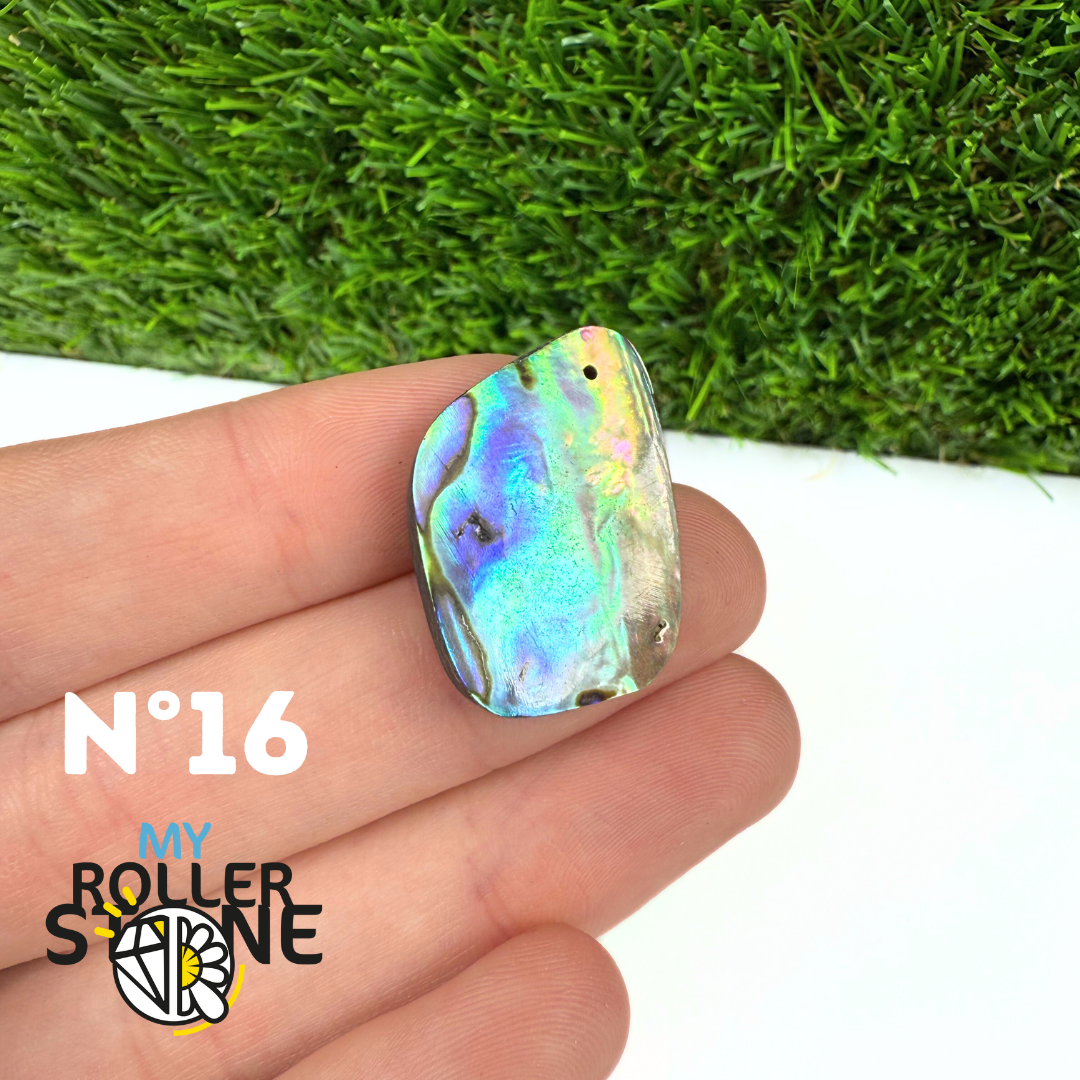 Pendentif en Abalone Forme Libre 5A