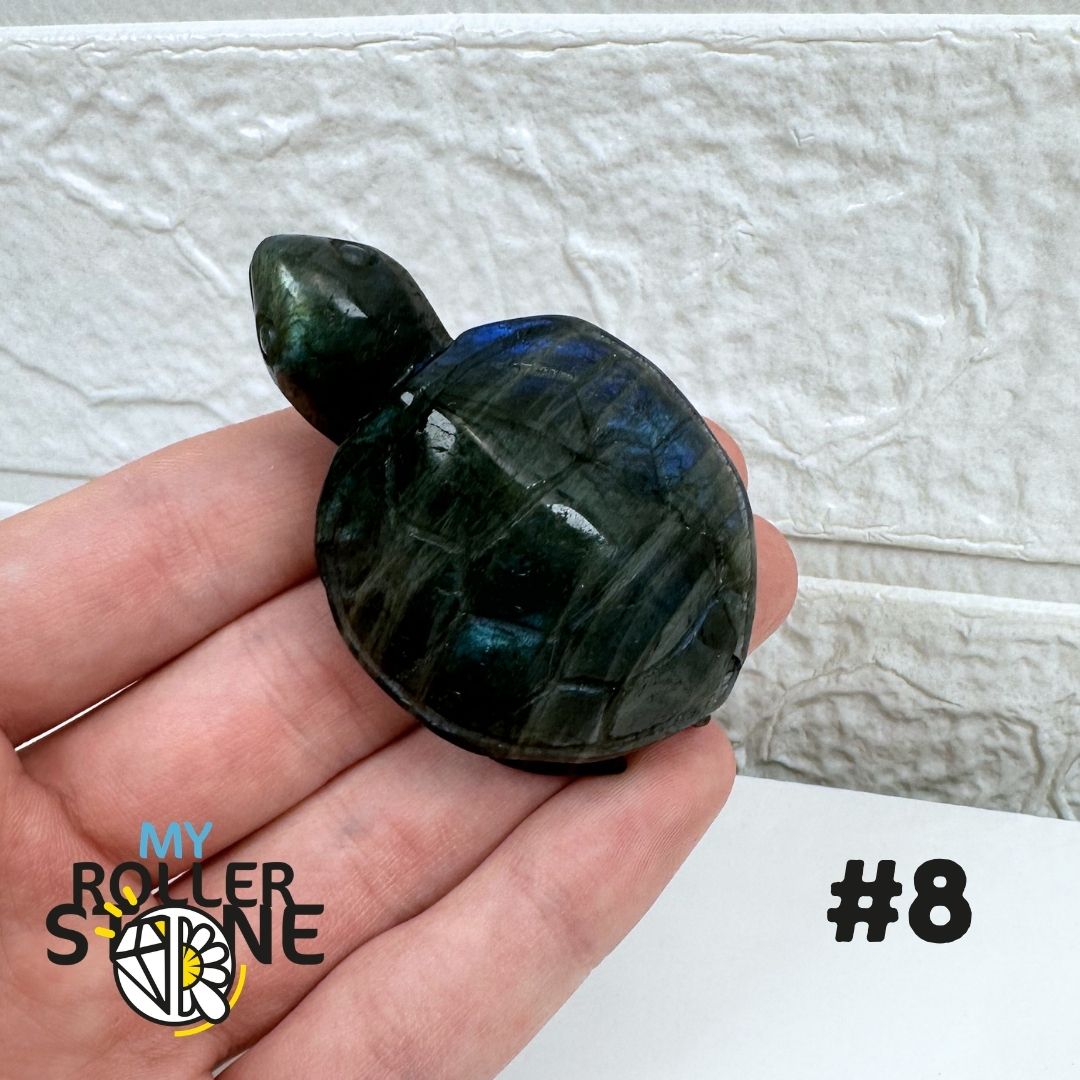 Tortue en Labradorite 8