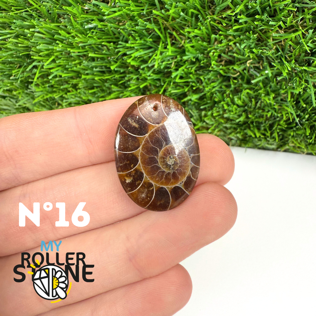Pendentif Ammonite 5A Percé