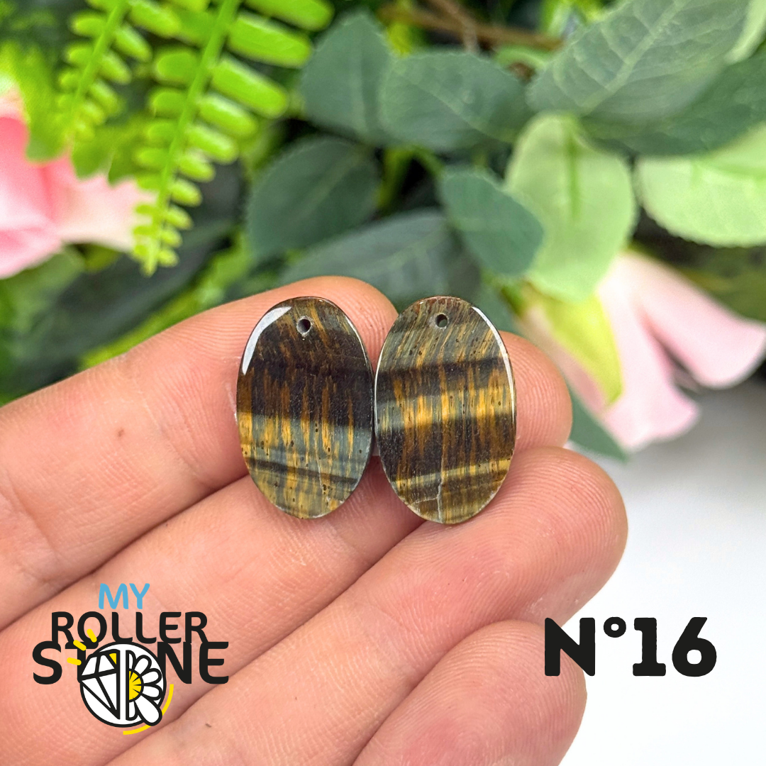 Paire de Cabochon percé en Oeil de Faucon pour Boucles d'oreilles