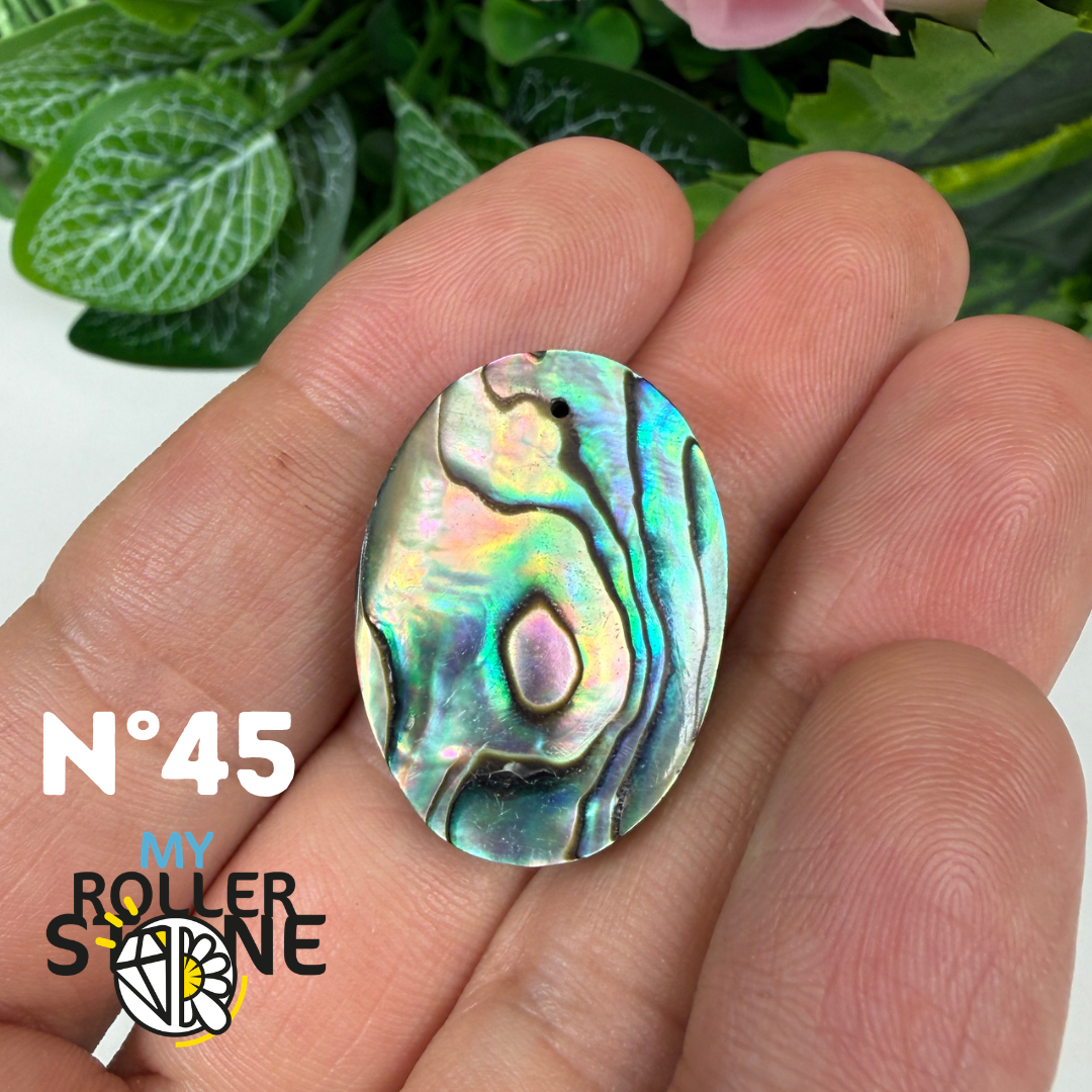 Pendentif en Abalone Forme Libre 5A