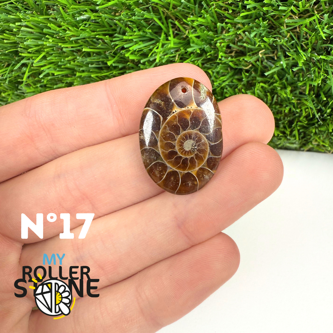 Pendentif Ammonite 5A Percé