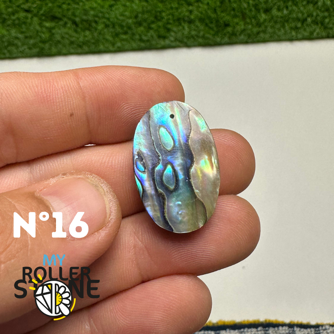 Pendentifs en Abalone Forme Libre 5A