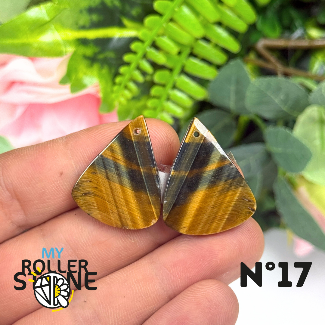 Paire de Cabochon percé en Oeil de Faucon pour Boucles d'oreilles