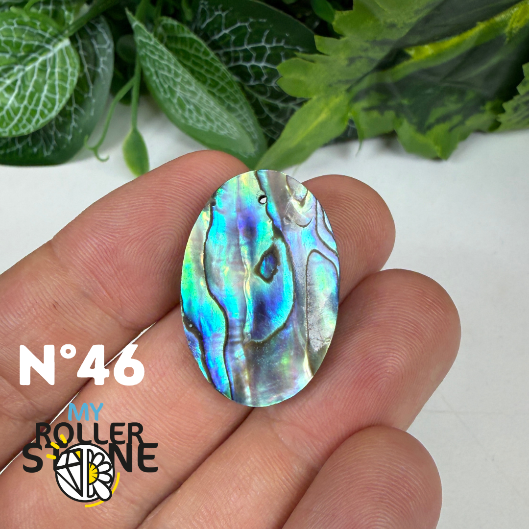 Pendentif en Abalone Forme Libre 5A