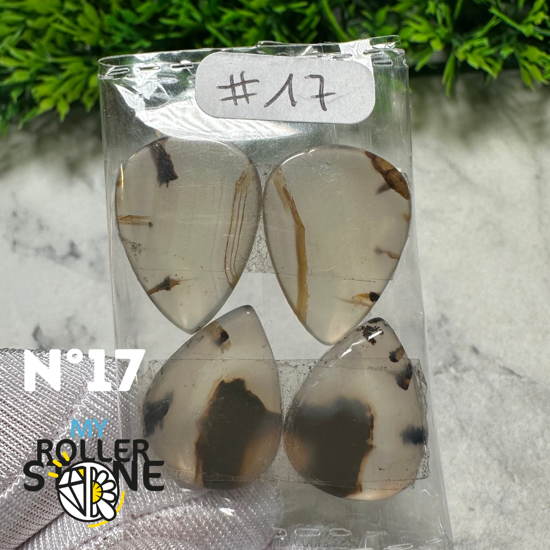 Paire de cabochons Agate Montana forme libre