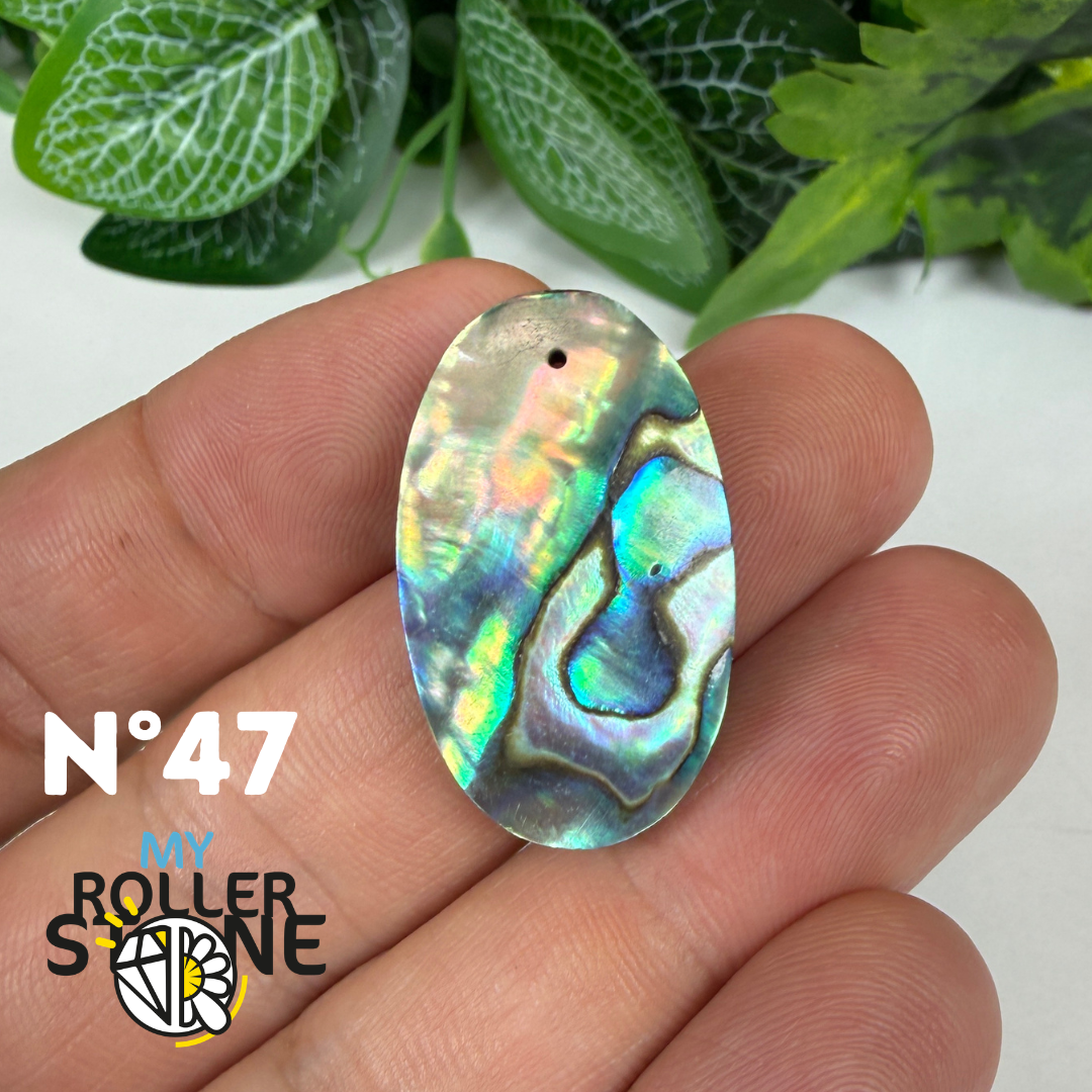 Pendentif en Abalone Forme Libre 5A