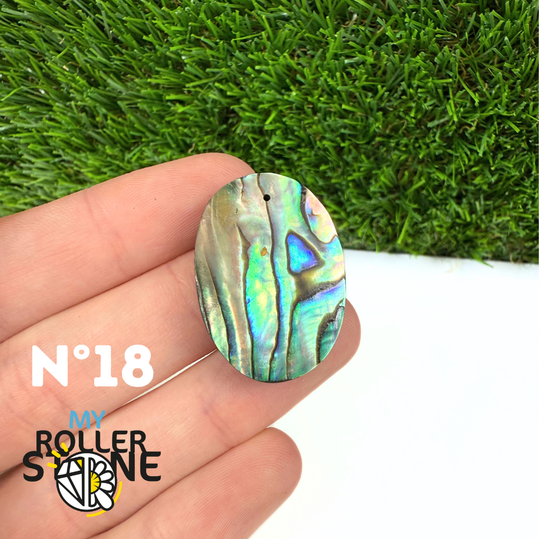 Pendentif en Abalone Forme Libre 5A