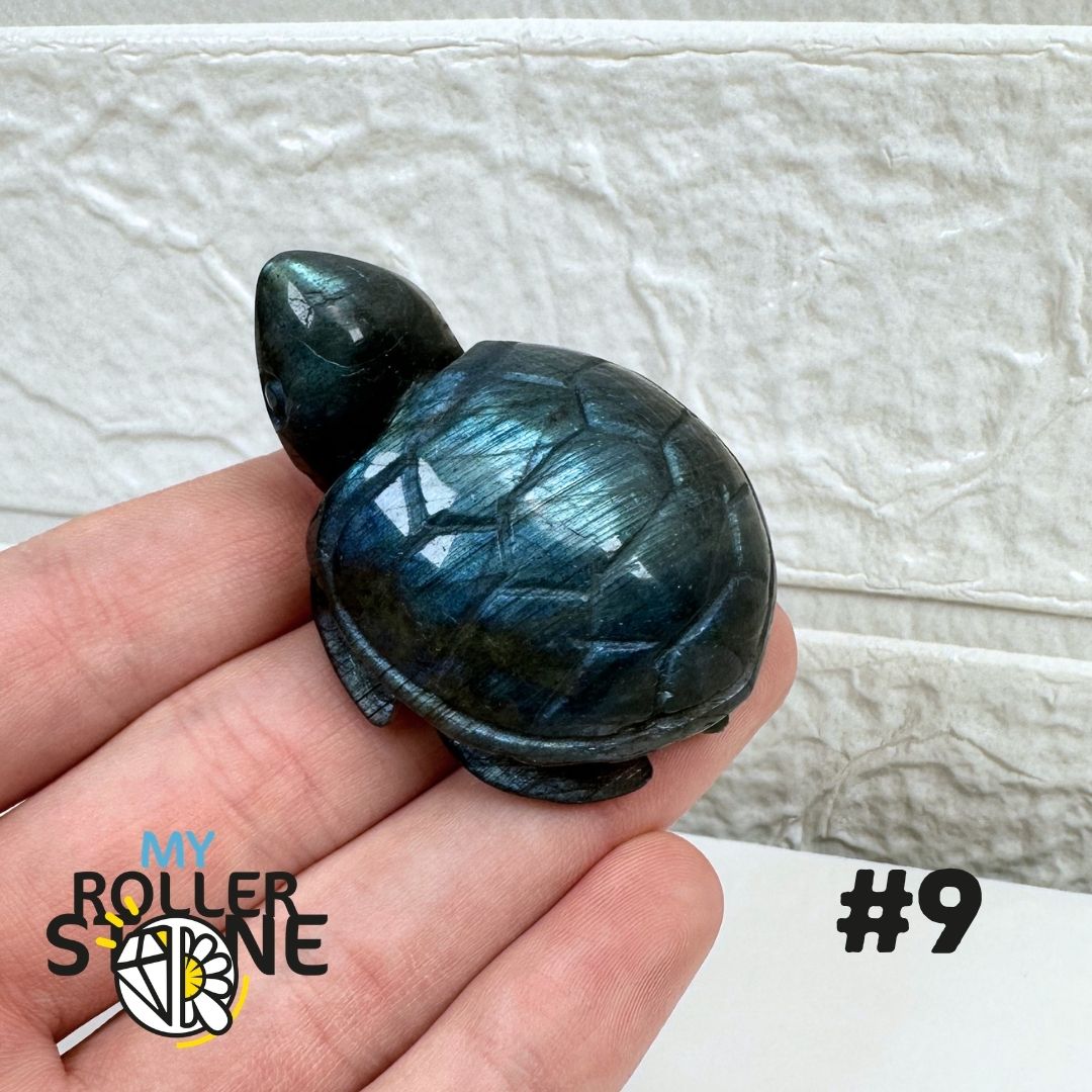 Tortue en Labradorite 9