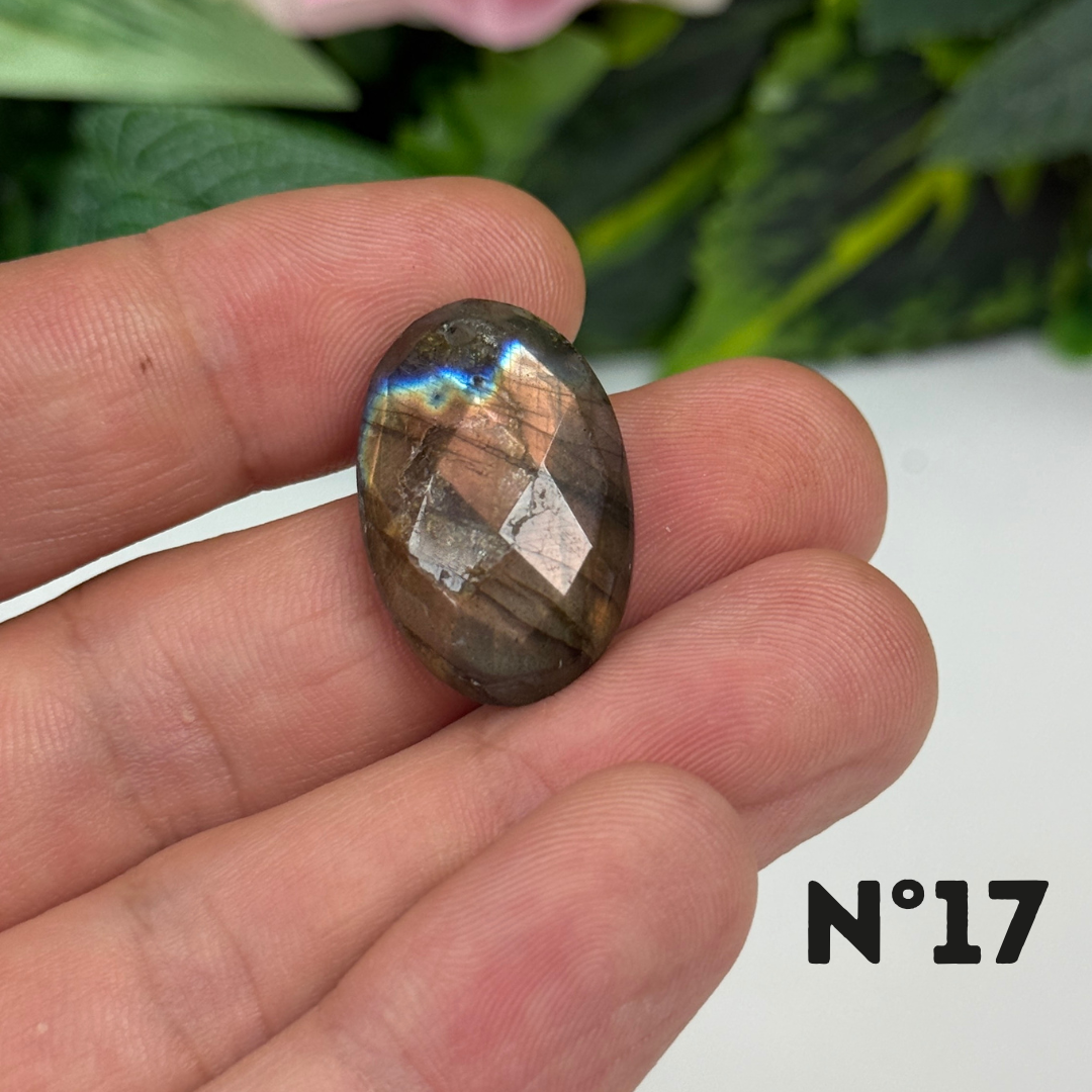 Pendentifs Labradorite Facettée Multi fire 5A