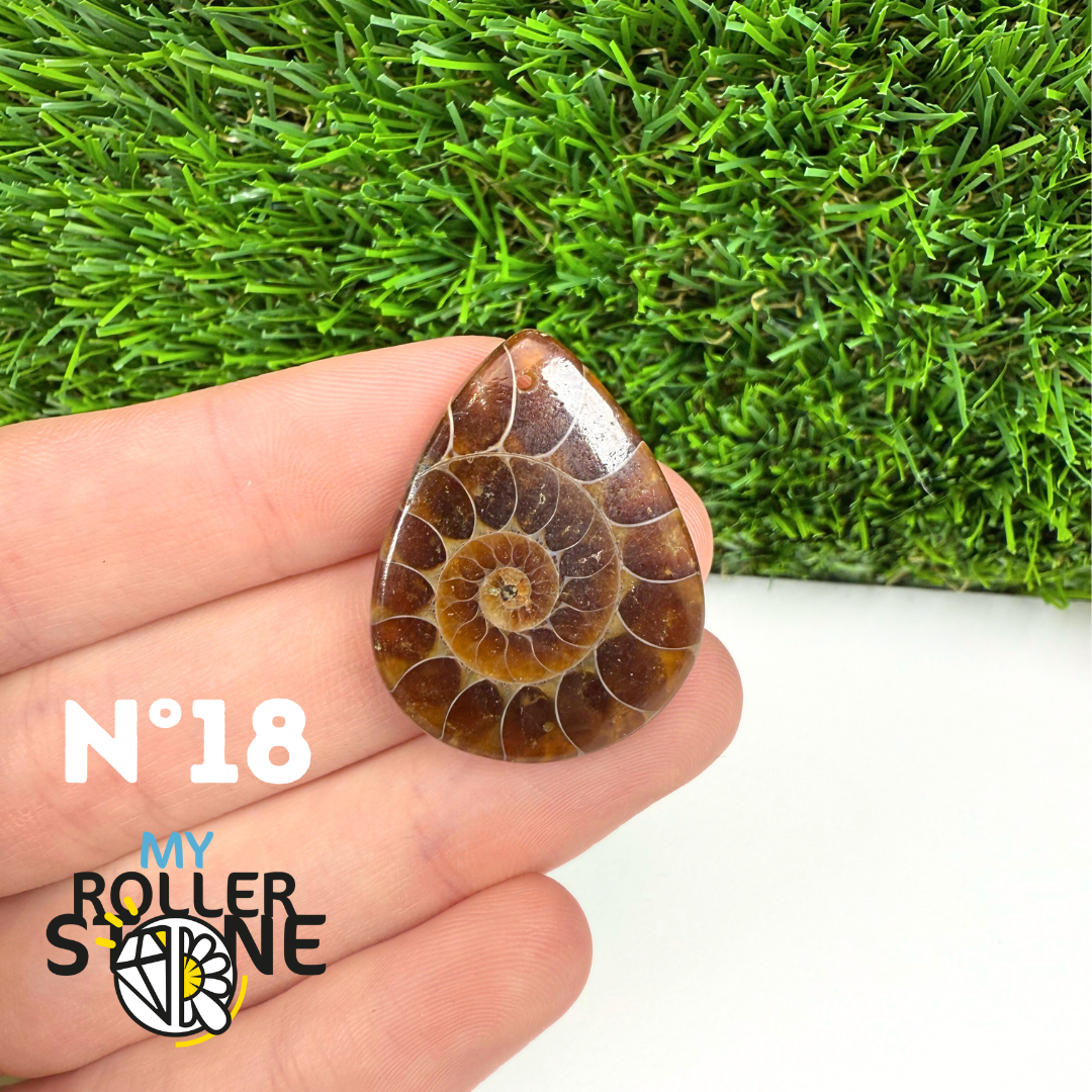 Pendentif Ammonite 5A Percé